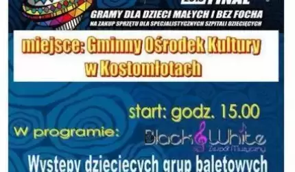 Finał WOŚP w Gminnym Ośrodku Kultury w Kostomłotach