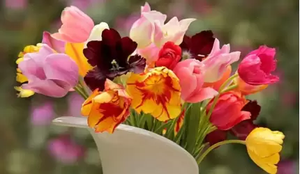 Serdeczne życzenia składa wszystkim Paniom Zdzisław Kruszelnicki