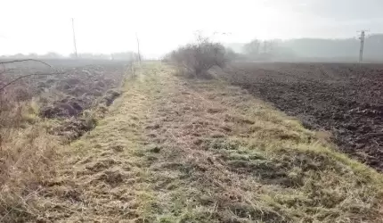 Trakt św. Jakuba porządkowany przez OSiR