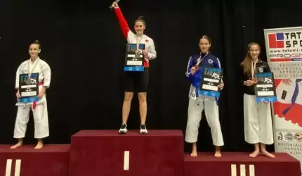 Brąz Emilii Wysockiej w Budapeszcie