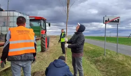 Wiosnę przywitali akcją nasadzeń drzew
