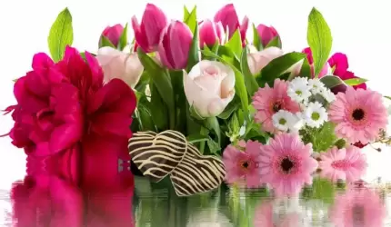 Serdeczne życzenia z okazji Dnia Babci i Dziadka