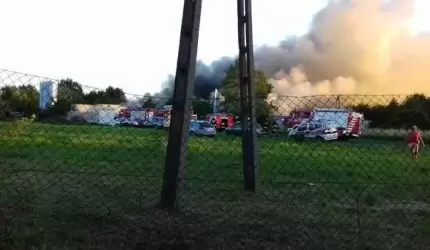 Pożar w Szczepanowie. Spaliło się ok. 19tys. piskląt