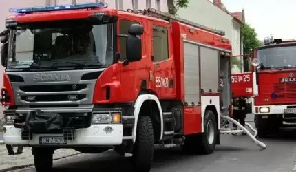 Sarna w niebezpieczeństwie i kobieta na balkonie...