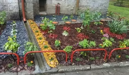 Razem sprawmy, by szpitalny ogród zakwitł radością!