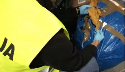 Wprowadziła do obrotu tytoń bez akcyzy