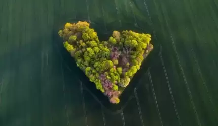 Zagajnik Miłości doceniony w prestiżowym konkursie