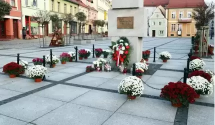 Chryzantemy upiększyły Środę Śląską