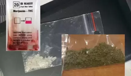 Zatrzymano kolejne osoby z narkotykami