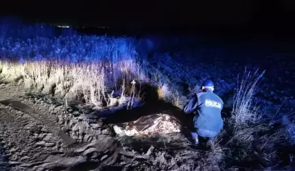 W niemal ostatnim momencie policjanci odnaleźli zaginioną 66-latkę