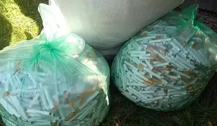 Kilka ton nielegalnego tytoniu w komórce oraz marihuana i amfetamina w kuchni