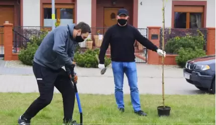 Wspólnie zasadzili tulipanowce na ul. Tulipanowej