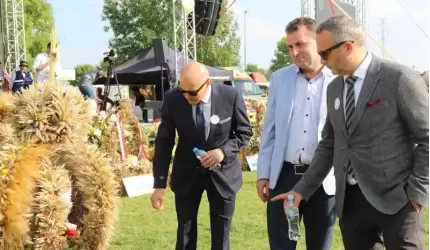 Powiatowe konkursy dożynkowe