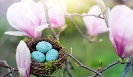 Radosnych Świąt Wielkanocnych życzy Zarząd voestalpine Rotec sp. z o.o.