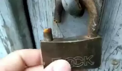 Złodzieje grasują w mieście! Mieszkańców proszę o czujność, a służby o patrole (list)