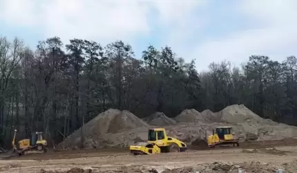 315 nowych drzew w związku z inwestycją branży logistycznej w Środzie Śląskiej