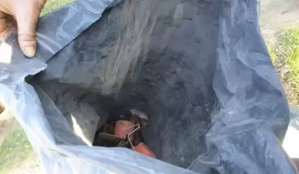 Sprawcy zaśmiecania ukarani!