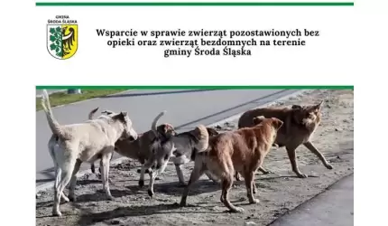 Wsparcie ws. zwierząt pozostawionych bez opieki oraz zwierząt bezdomnych na terenie gminy Środa Śląska