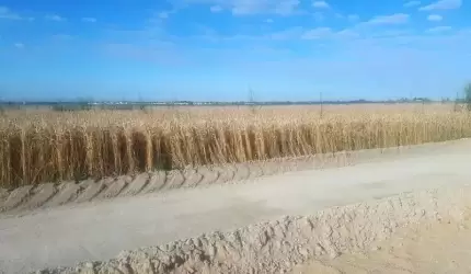 Na terenie gminy Miękinia trwa budowa ścieżki rowerowej