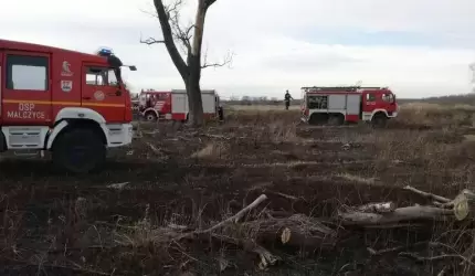 Pożar nieużytków pomiędzy Chomiążą, a Rzeczycą