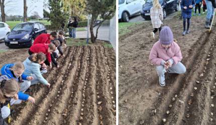 Tajemniczy Ogród Nadziei – pełen żonkili, pełen dobra