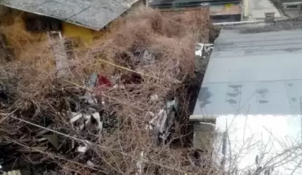 W centrum miasta kwitnie śmietnik (list do redakcji)